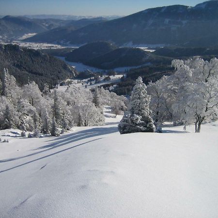Landhaus Gschaiderhof Puchberg am Schneeberg Extérieur photo