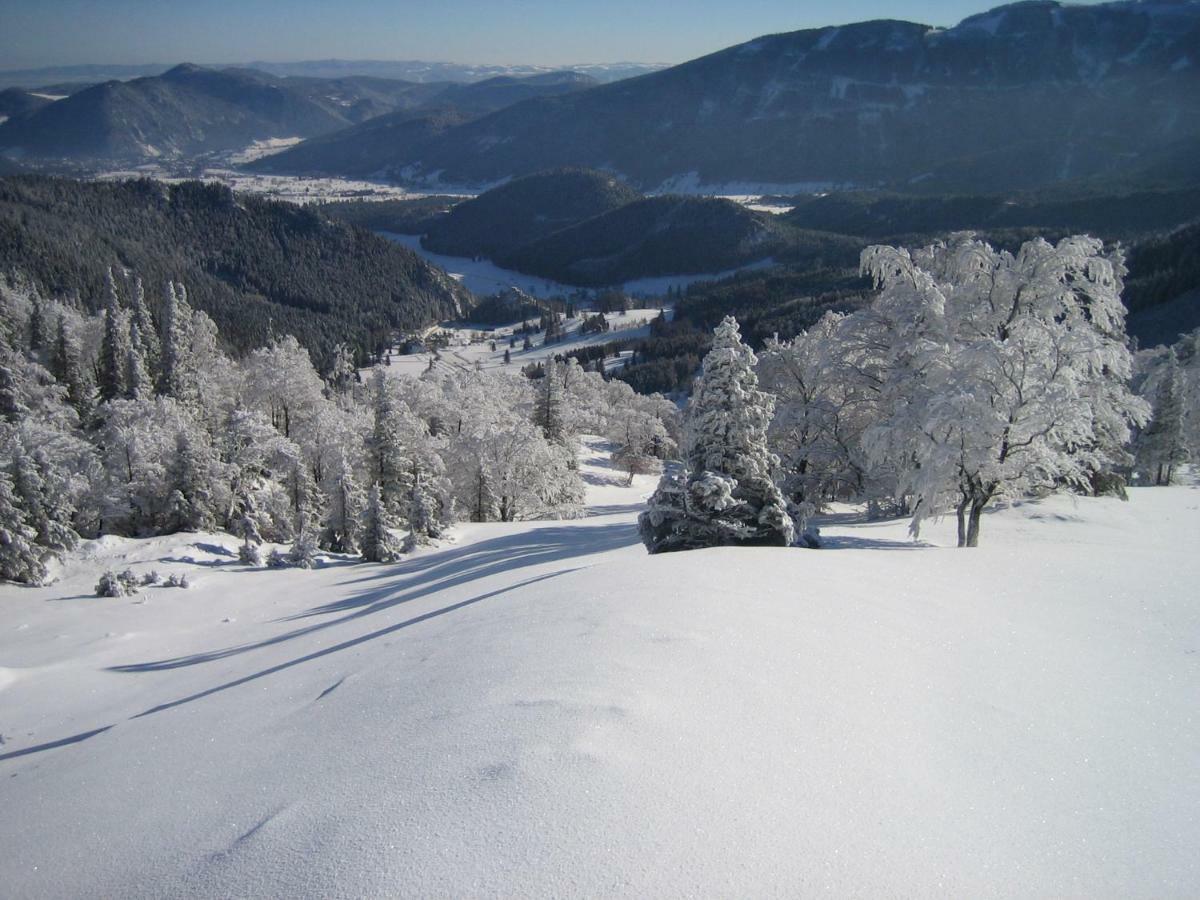 Landhaus Gschaiderhof Puchberg am Schneeberg Extérieur photo